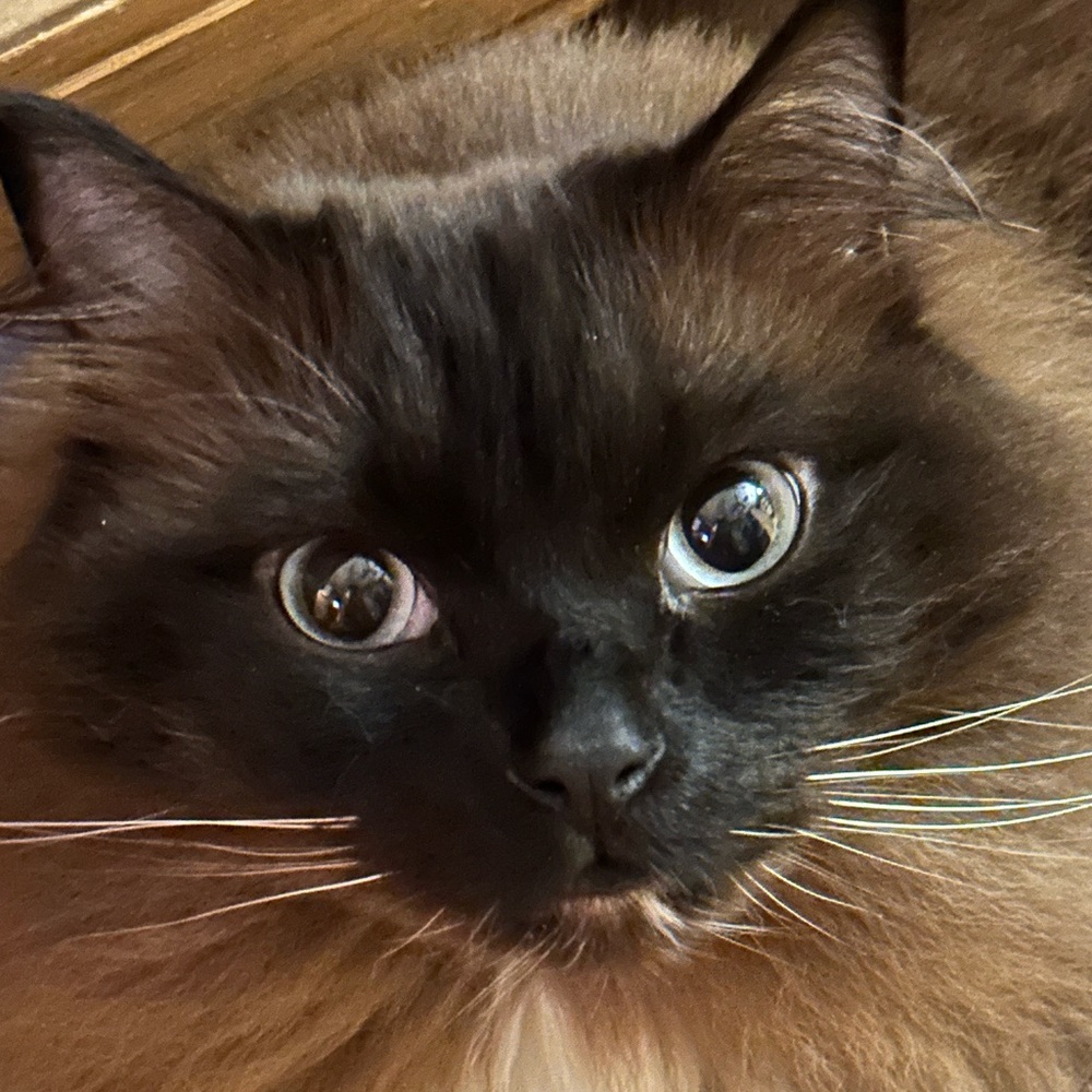 Meet your Posher, Heather